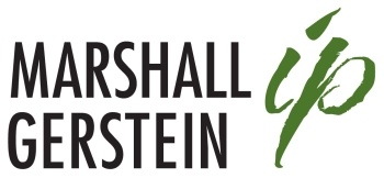 Marshall Gerstein & Borun LLP logo