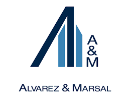Alvarez & Marsal Disputes and Investigations Limited logo
