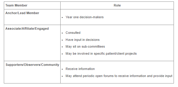 Organizing An Ontario Health Team Considerations When